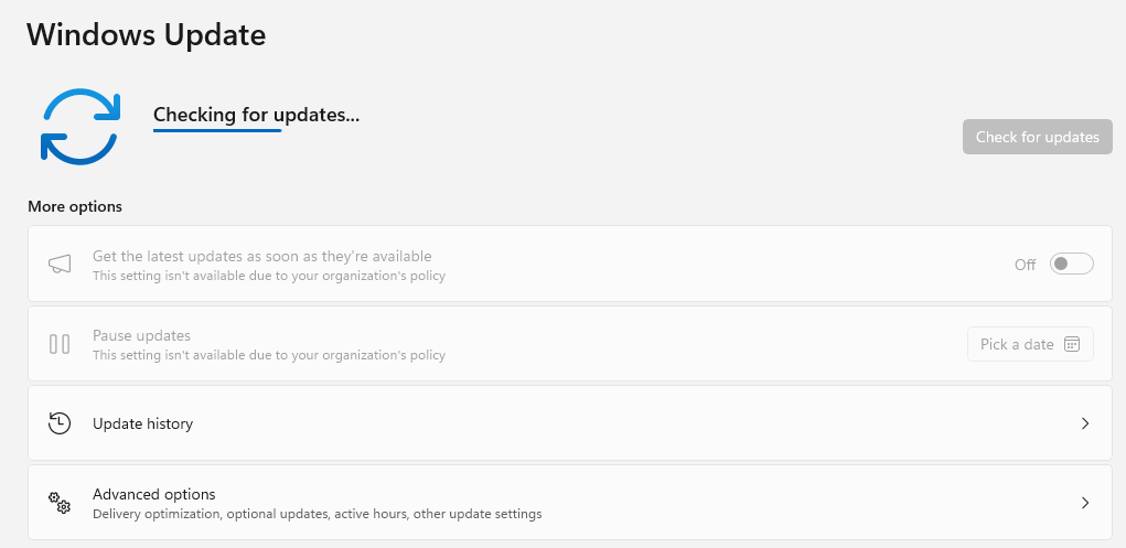 Windows Update settings page showing organisation policy controls for update delivery and pause options